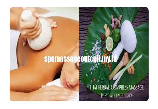 herbal warm massage therapy health